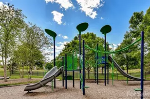 14020 Helen Benson Blvd, Davidson, NC 28036 - Photo 29