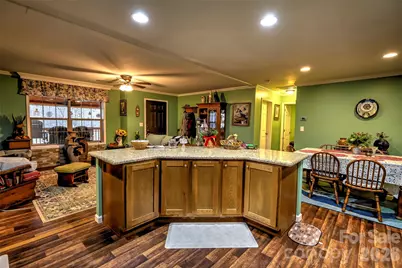 390 Camp Branch Road, Whittier, NC 28789 - Photo 37