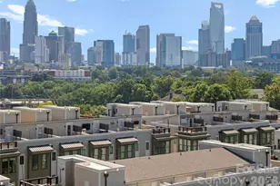 1707 Cannon View Ln, Charlotte, NC 28208 - Photo 29