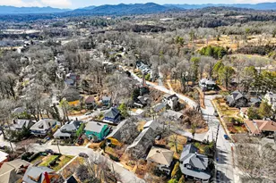 8 Houston St, Asheville, NC 28801 - Photo 47