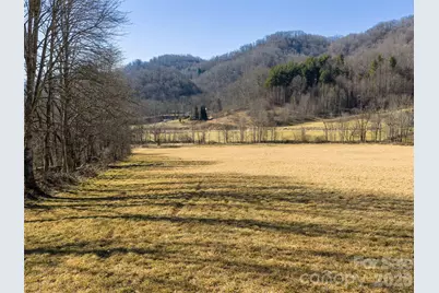 00 Sallys Branch Road, Clyde, NC 28721 - Photo 3