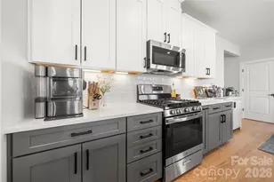 14028 Lake Home Ln, Charlotte, NC 28278 - Photo 7