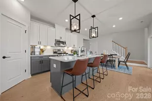 14028 Lake Home Ln, Charlotte, NC 28278 - Photo 5