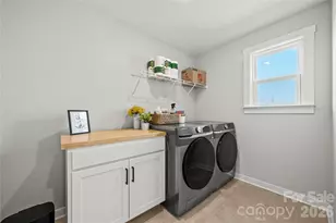 14028 Lake Home Ln, Charlotte, NC 28278 - Photo 29