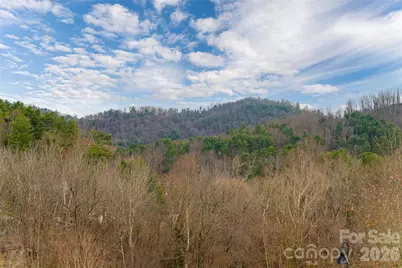 22 Snap Dragon Court, Asheville, NC 28804 - Photo 3