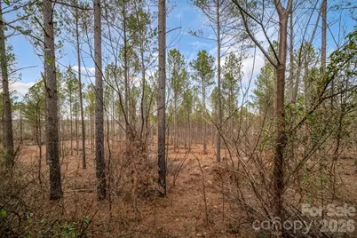 7812 Hwy 742 Highway, Marshville, NC 28103 - Photo 45