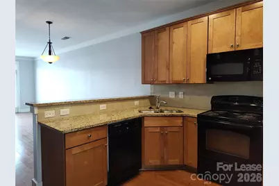 718 Cotton Gin Alley, Davidson, NC 28036 - Photo 3