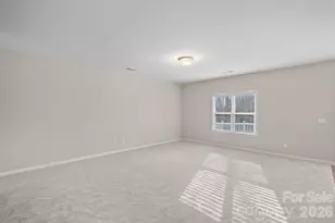 14227 Drake Watch Ln, Charlotte, NC 28262 - Photo 3