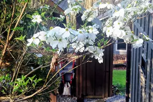 1600 Black Oak Dr, Sapphire, NC 28774 - Photo 33