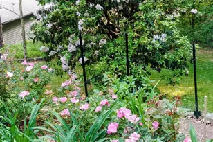 1600 Black Oak Dr, Sapphire, NC 28774 - Photo 35