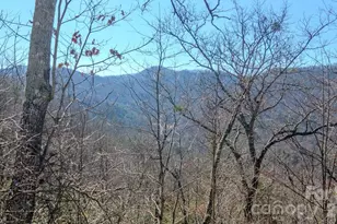 508 Griffin Mountain Rd, Franklin, NC 28734 - Photo 41