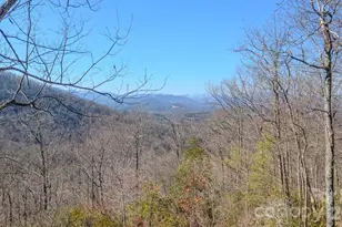508 Griffin Mountain Rd, Franklin, NC 28734 - Photo 39
