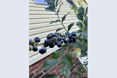 821 Bell Farm Road, Statesville, NC 28625 - Photo 35