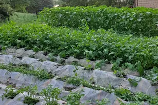 821 Bell Farm Rd, Statesville, NC 28625 - Photo 37