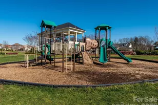 11915 Stirling Field Dr, Pineville, NC 28134 - Photo 45