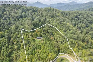 1225 Clark Rd, Clyde, NC 28721 - Photo 9