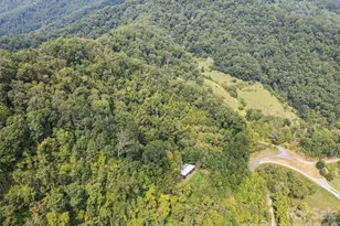 1225 Clark Rd, Clyde, NC 28721 - Photo 11