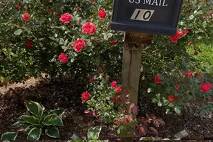 10 Aberdeen Dr, Arden, NC 28704 - Photo 31