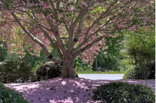 10 Aberdeen Dr, Arden, NC 28704 - Photo 29