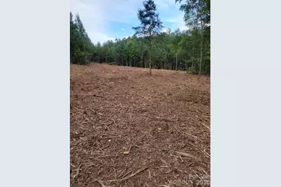 2715 Moose Lodge Street, Valdese, NC 28690 - Photo 9