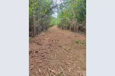 2715 Moose Lodge Street, Valdese, NC 28690 - Photo 15