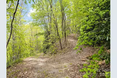 00 Locust Trail, Waynesville, NC 28785 - Photo 15