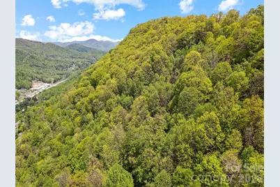 00 Locust Trail, Waynesville, NC 28785 - Photo 5
