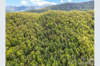 00 Locust Trail, Waynesville, NC 28785 - Photo 11