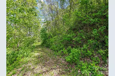 00 Locust Trail, Waynesville, NC 28785 - Photo 21