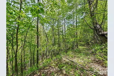 00 Locust Trail, Waynesville, NC 28785 - Photo 23