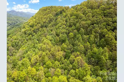 00 Locust Trail, Waynesville, NC 28785 - Photo 3