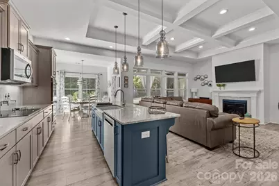 1512 Trevino Way, Waxhaw, NC 28173 - Photo 9