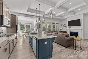 1512 Trevino Wy, Waxhaw, NC 28173 - Photo 9