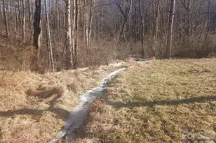 1874 Double Island Rd, Green Mountain, NC 28740 - Photo 7