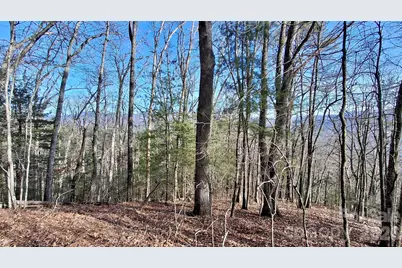 0 Briarwood Road, Webster, NC 28788 - Photo 5