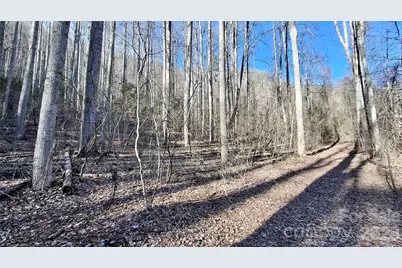 0 Briarwood Road, Webster, NC 28788 - Photo 11