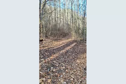 0 Briarwood Road, Webster, NC 28788 - Photo 27