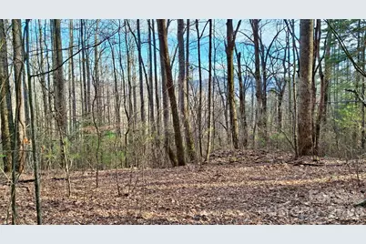 0 Briarwood Road, Webster, NC 28788 - Photo 3