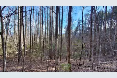 0 Briarwood Road, Webster, NC 28788 - Photo 19