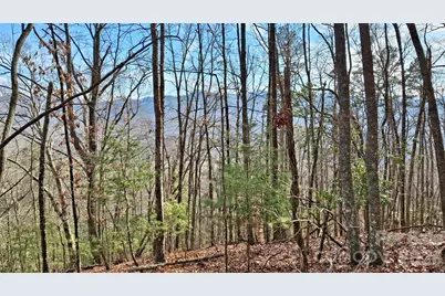 0 Briarwood Road, Webster, NC 28788 - Photo 7