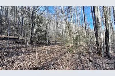0 Briarwood Road, Webster, NC 28788 - Photo 21