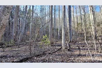 0 Briarwood Road, Webster, NC 28788 - Photo 13