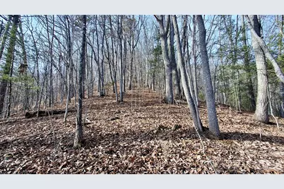 0 Briarwood Road, Webster, NC 28788 - Photo 25