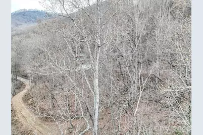 Lot 4D Pelican Place, Waynesville, NC 28786 - Photo 5