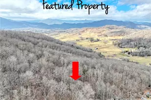 Lot 4D Pelican Pl, Waynesville, NC 28786 - Photo 1