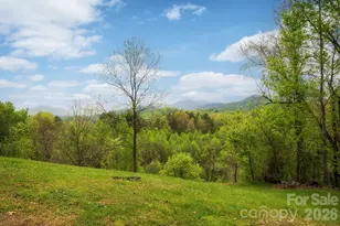 69 Heslar Way, Marshall, NC 28753 - Photo 33