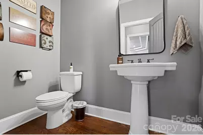 250 Barber Loop, Mooresville, NC 28117 - Photo 19