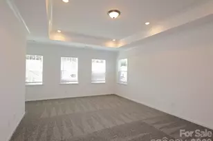 12113 Avienmore Dr, Charlotte, NC 28278 - Photo 21