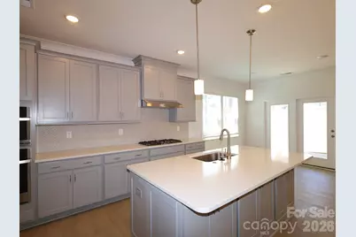 12113 Avienmore Drive, Charlotte, NC 28278 - Photo 5