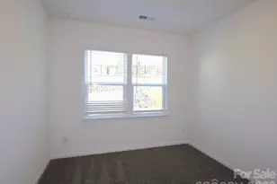 12113 Avienmore Dr, Charlotte, NC 28278 - Photo 11